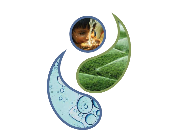 My Image